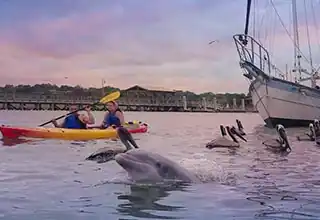 Charleston Kayak Rentals