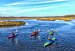 Charleston Kayak Tours