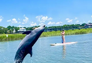 Paddleboard rental in Charleston waterways