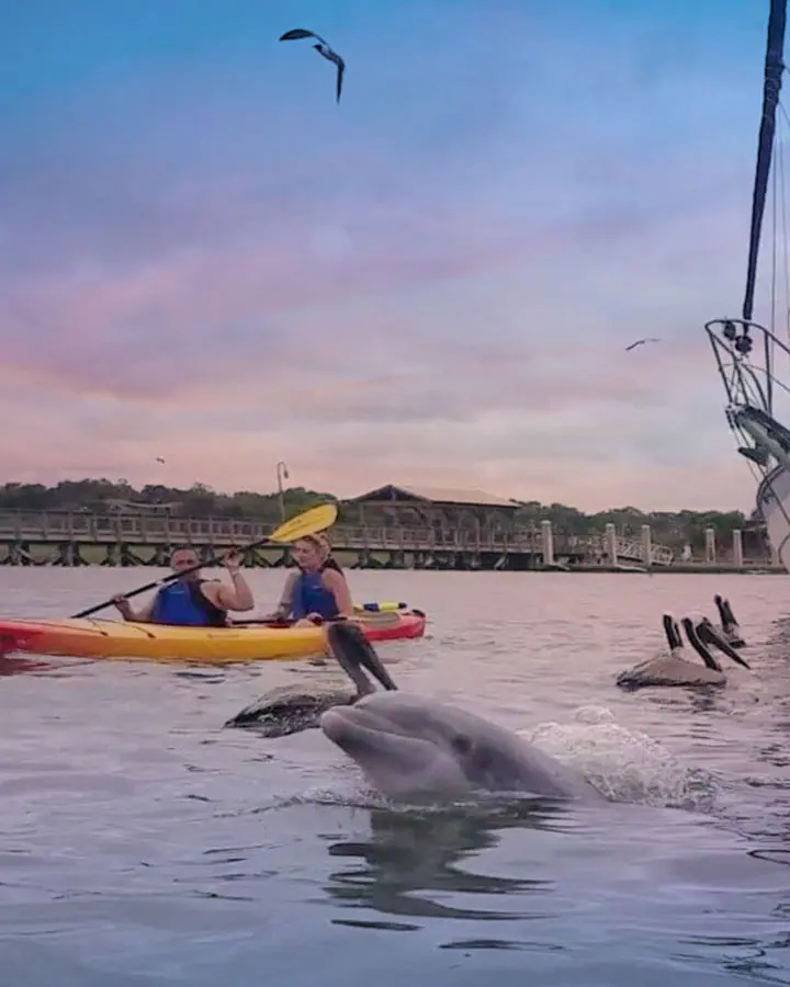 Charleston Kayak Tours 01