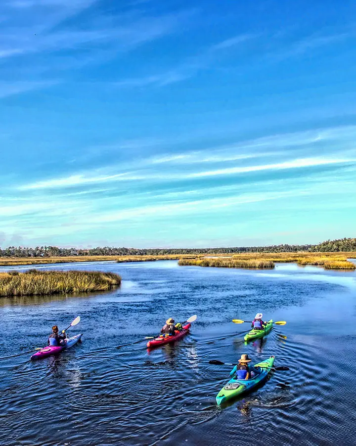 Charleston Kayak Tours 02