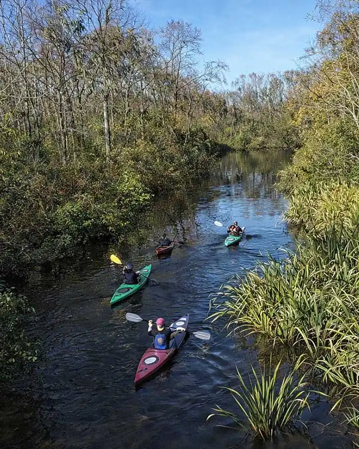 Charleston Kayak Tours 05