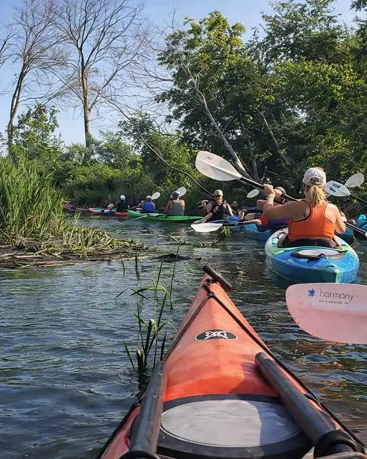 Charleston Kayak Tours 07