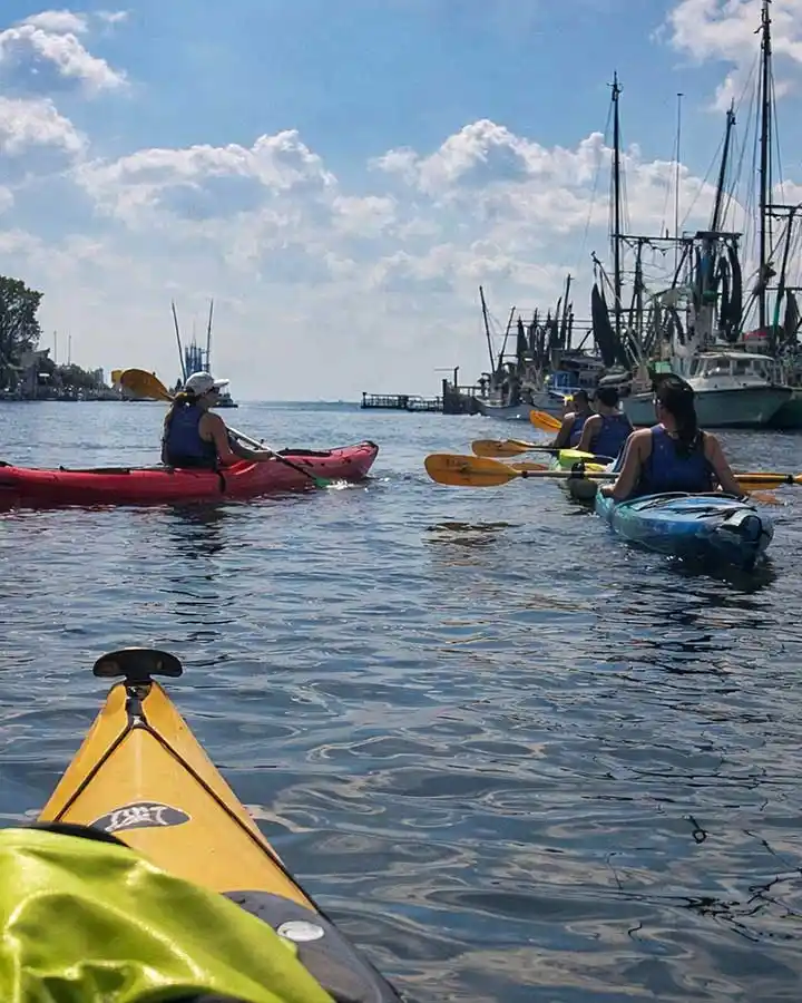 Charleston Kayak Tours 08