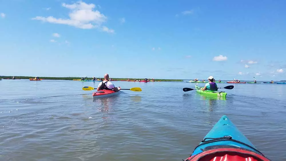 Charleston  Kayak and Paddleboard 02