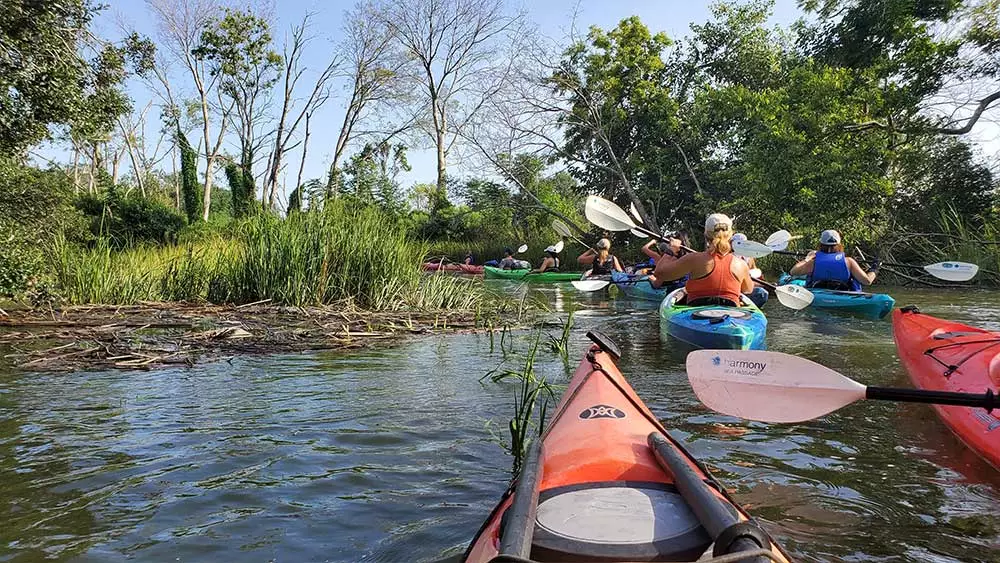 Charleston  Kayak and Paddleboard 10