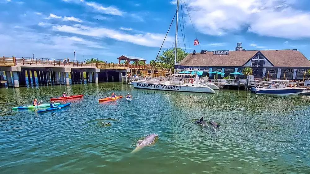 Charleston  Kayak and Paddleboard 11