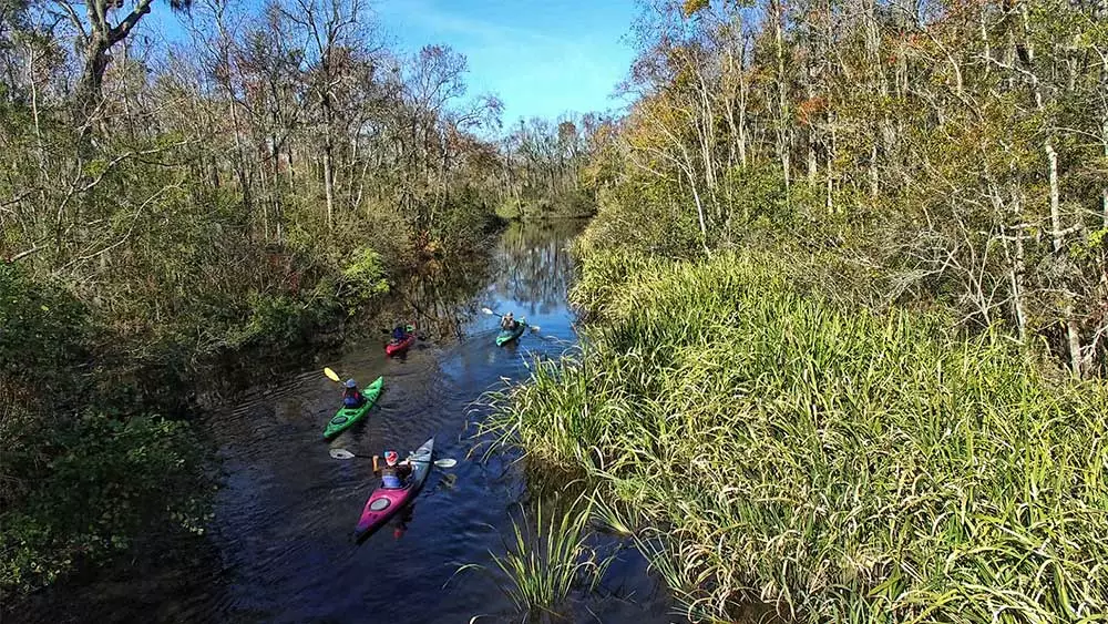 Charleston  Kayak and Paddleboard 15