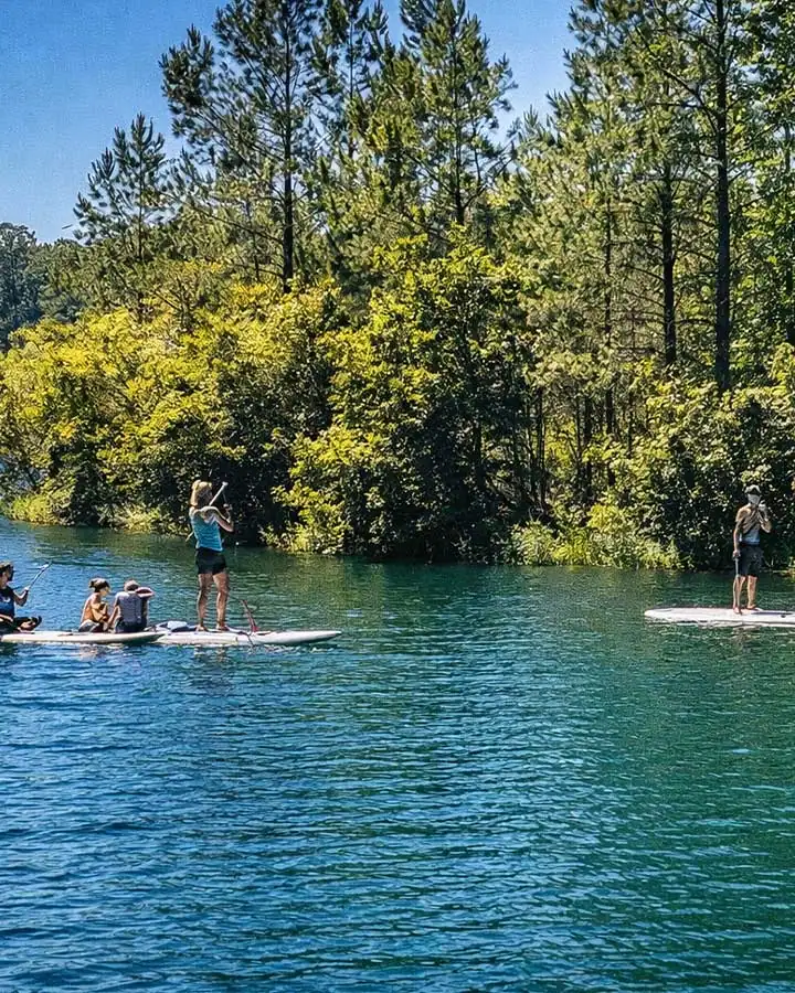 Charleston Paddleboard Tours 06