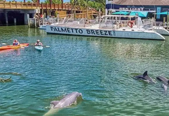 charleston-kayak-rentals