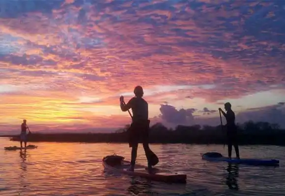 charleston-paddleboard-rentals